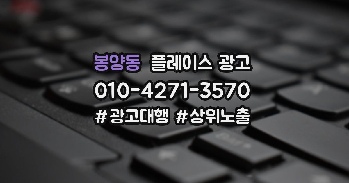 봉양동 플레이스 광고