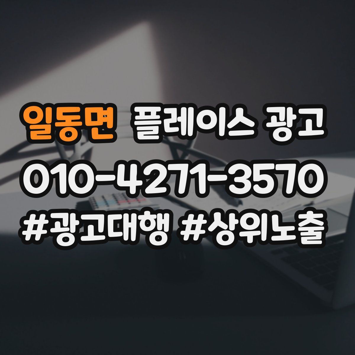 일동면 플레이스 광고