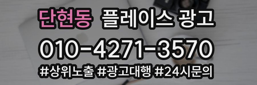 단현동 플레이스 광고