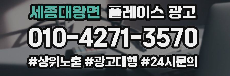 세종대왕면 플레이스 광고