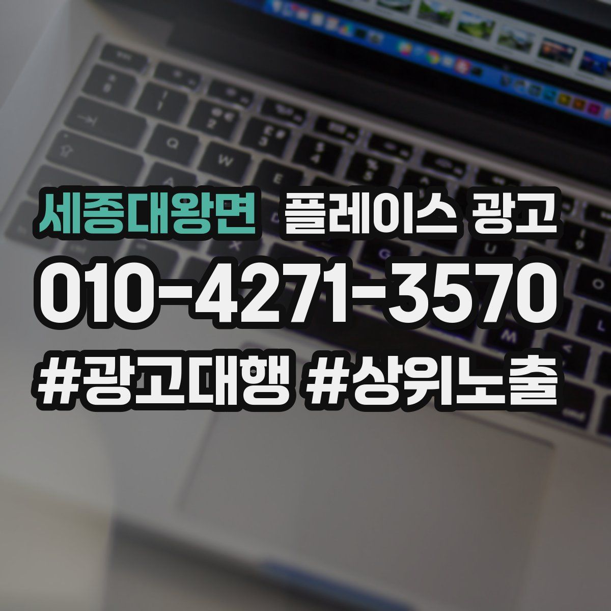 세종대왕면 플레이스 광고