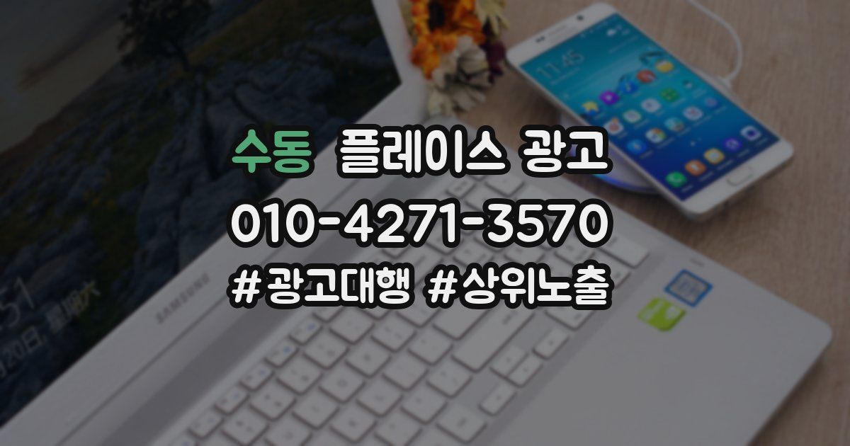 수동 플레이스 광고