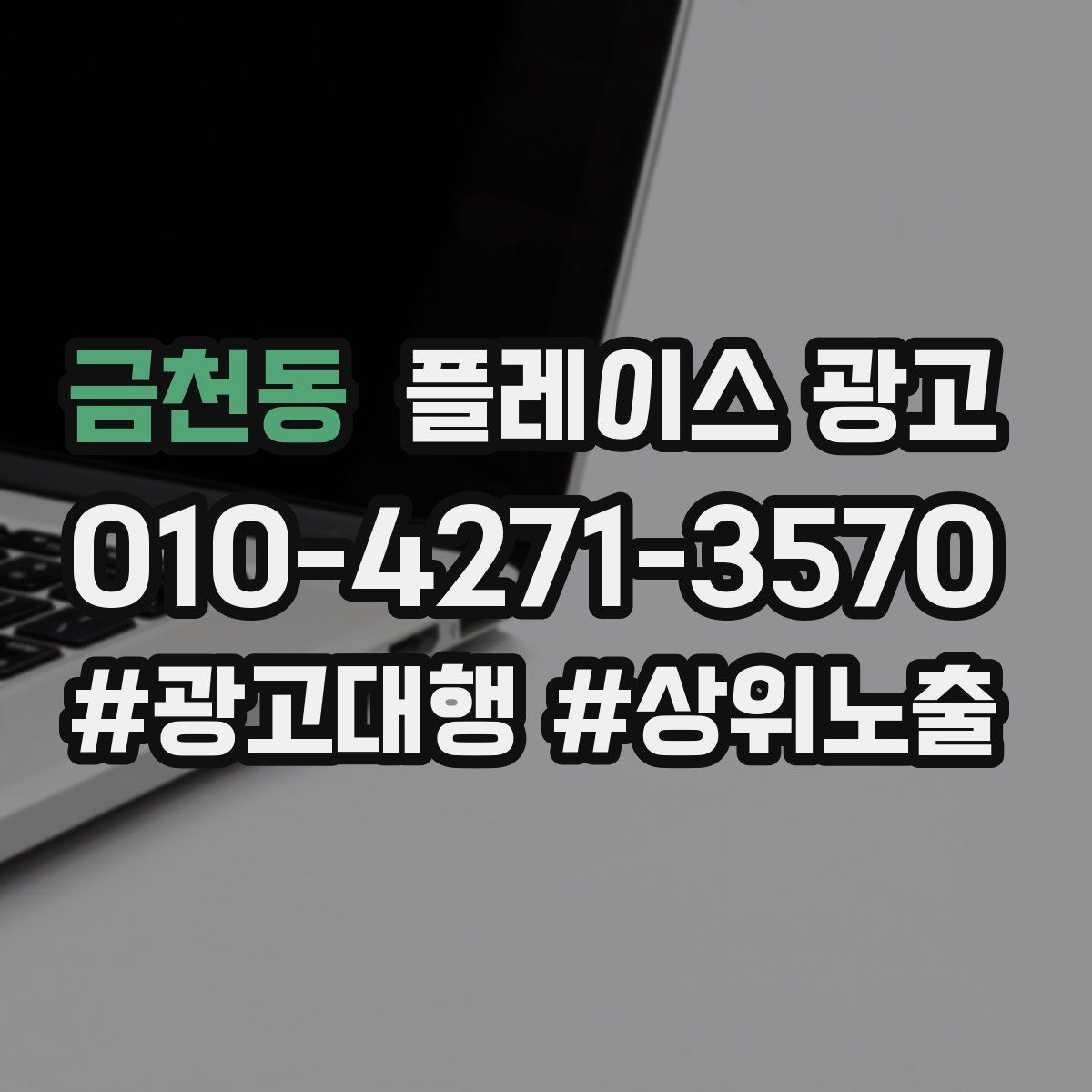 금천동 플레이스 광고