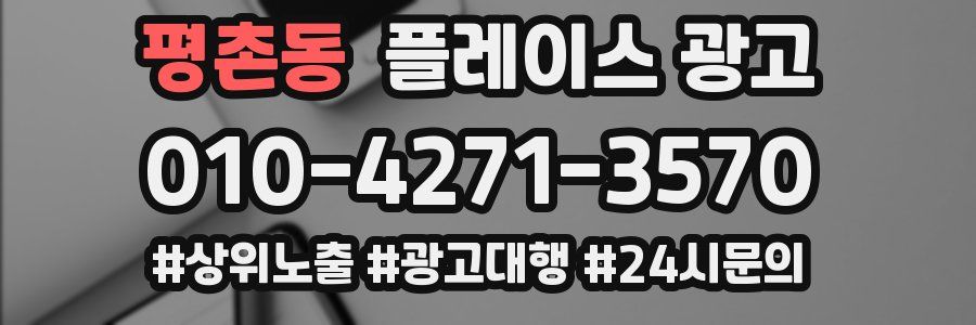 평촌동 플레이스 광고