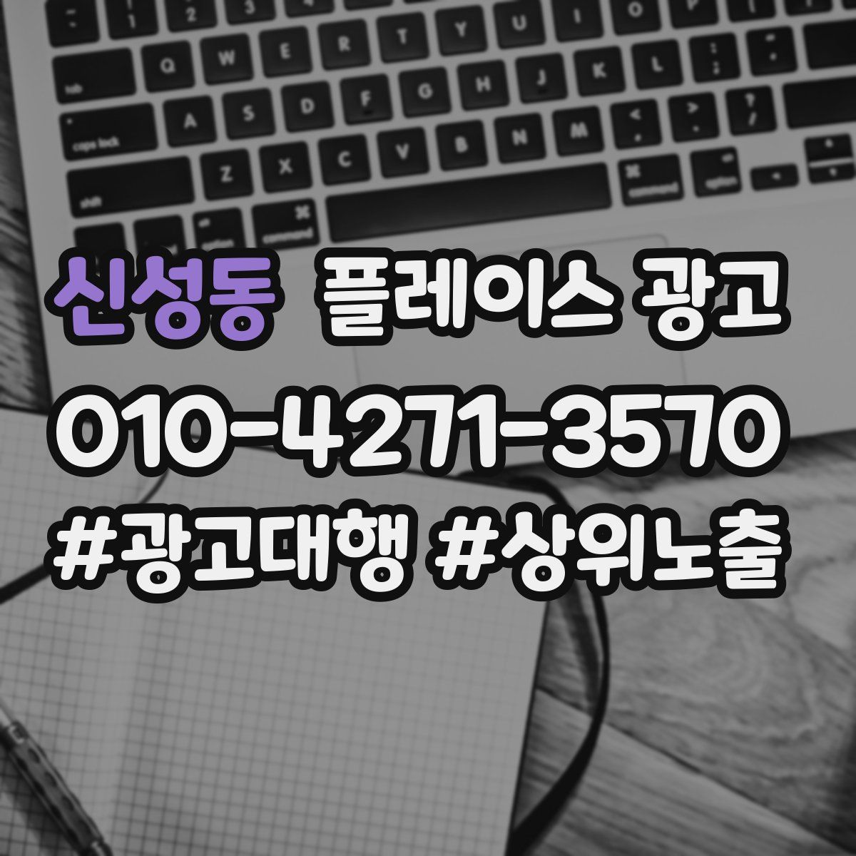 신성동 플레이스 광고