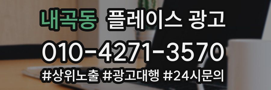 내곡동 플레이스 광고