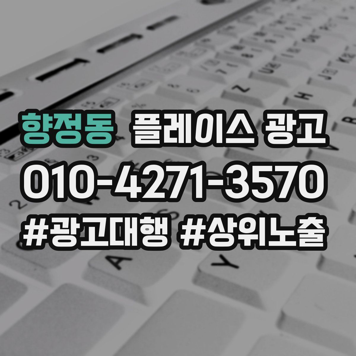 향정동 플레이스 광고