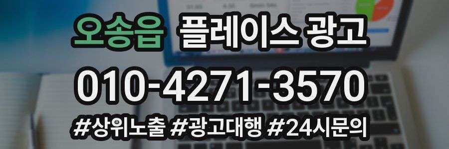 오송읍 플레이스 광고