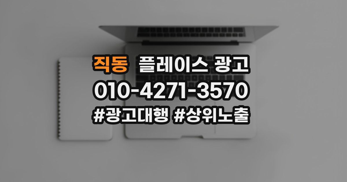 직동 플레이스 광고