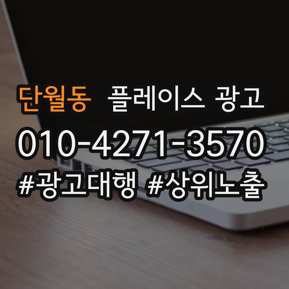 단월동 플레이스 광고