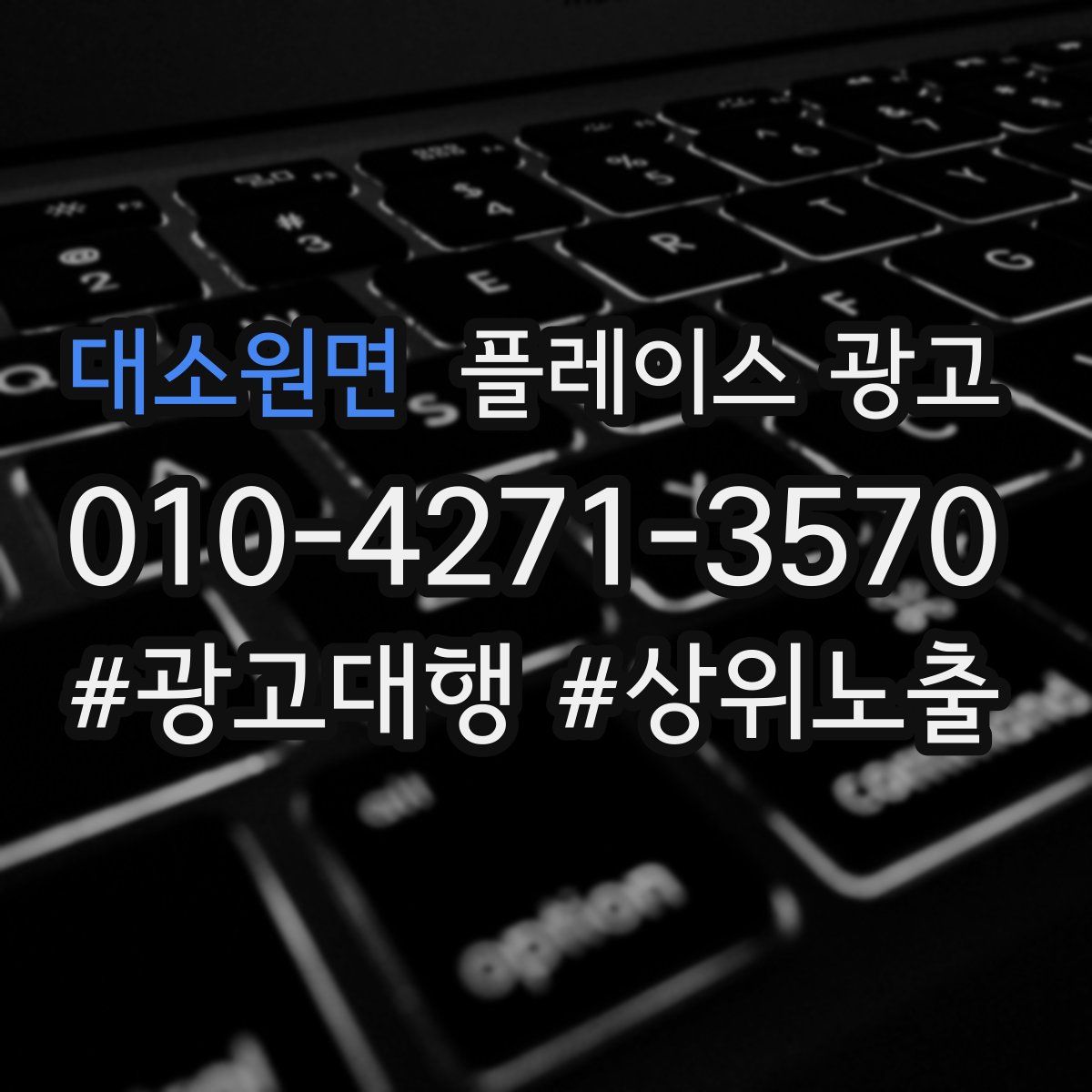 대소원면 플레이스 광고