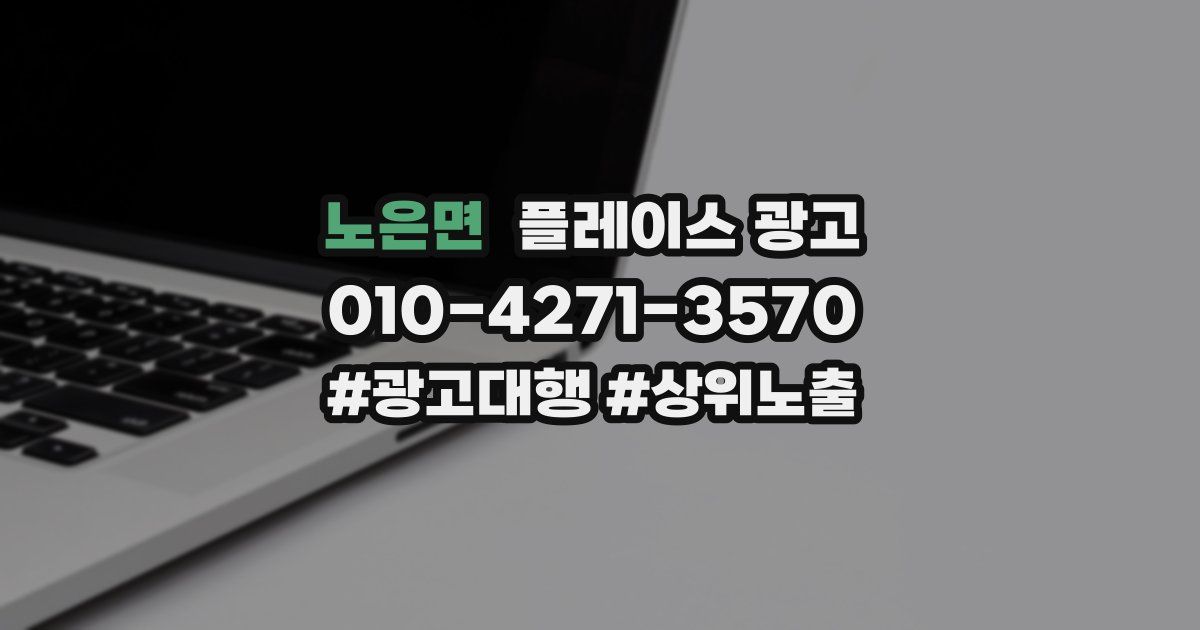 노은면 플레이스 광고