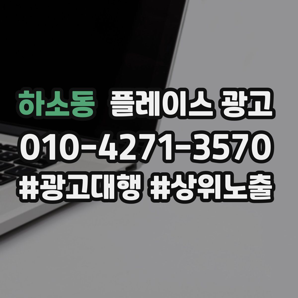 하소동 플레이스 광고