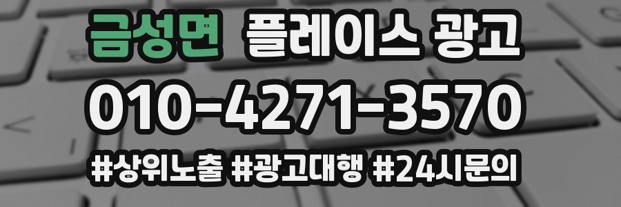 금성면 플레이스 광고