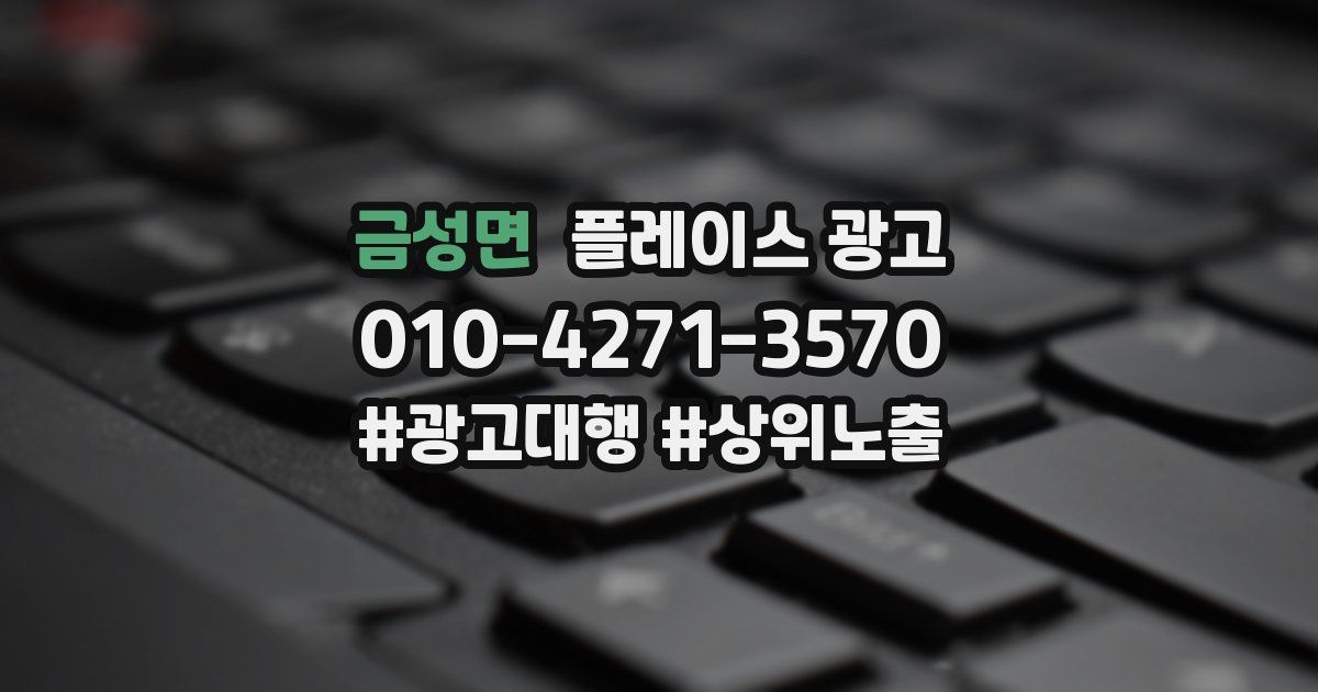 금성면 플레이스 광고