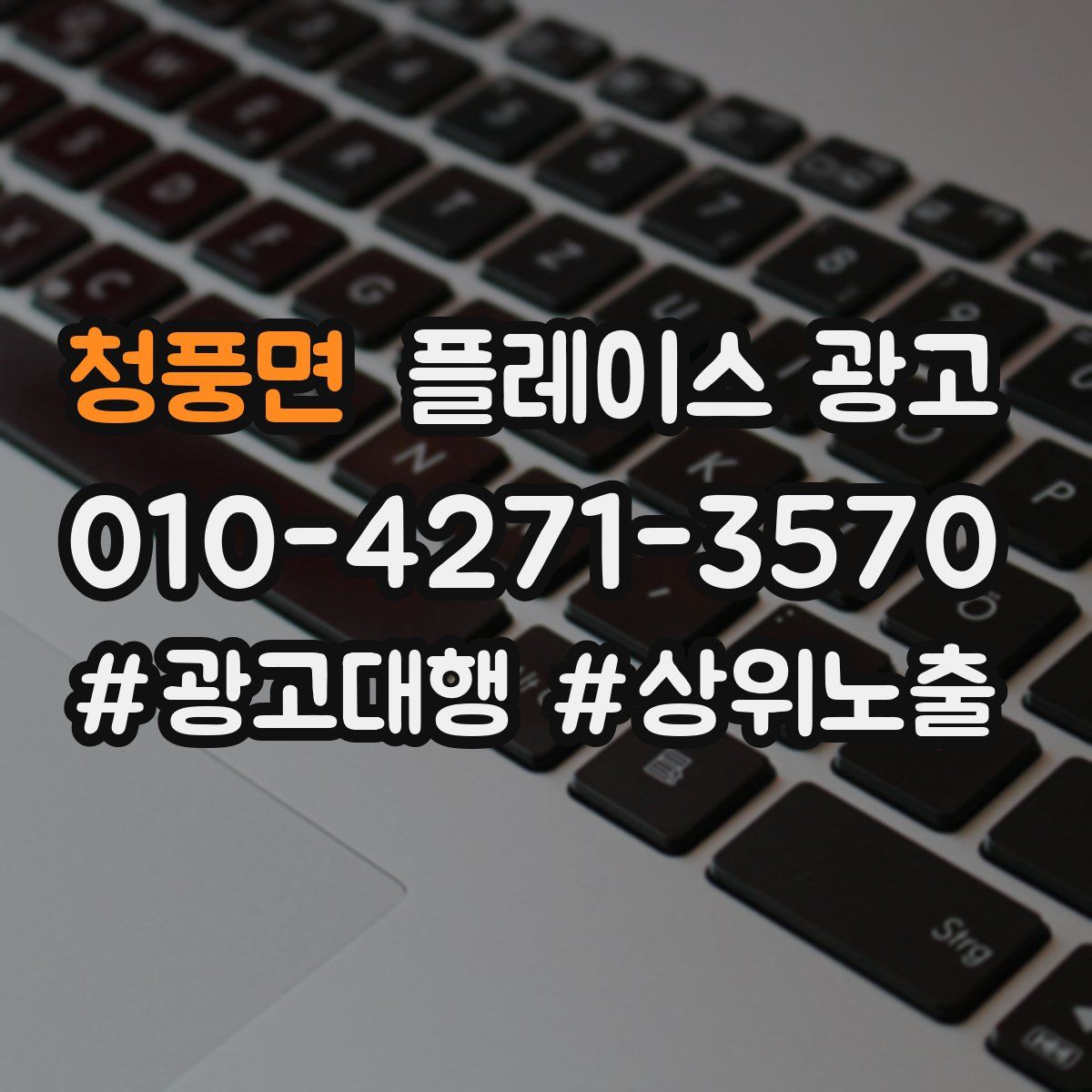 청풍면 플레이스 광고