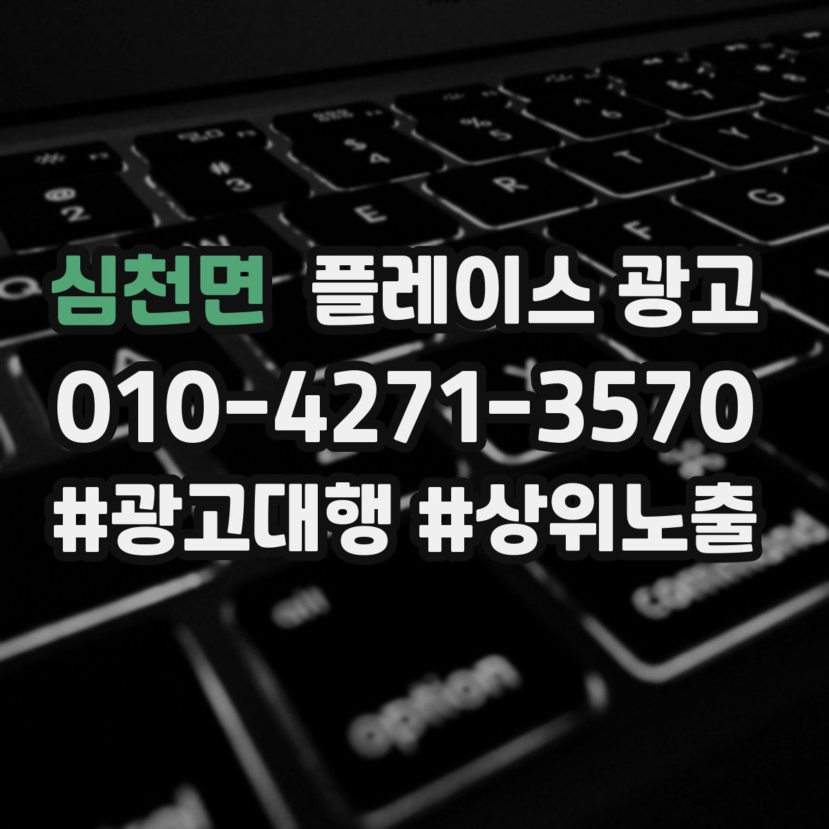 심천면 플레이스 광고