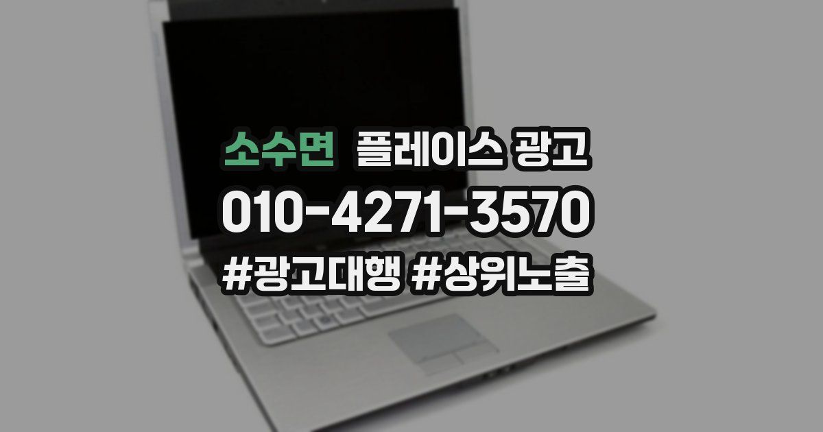 소수면 플레이스 광고