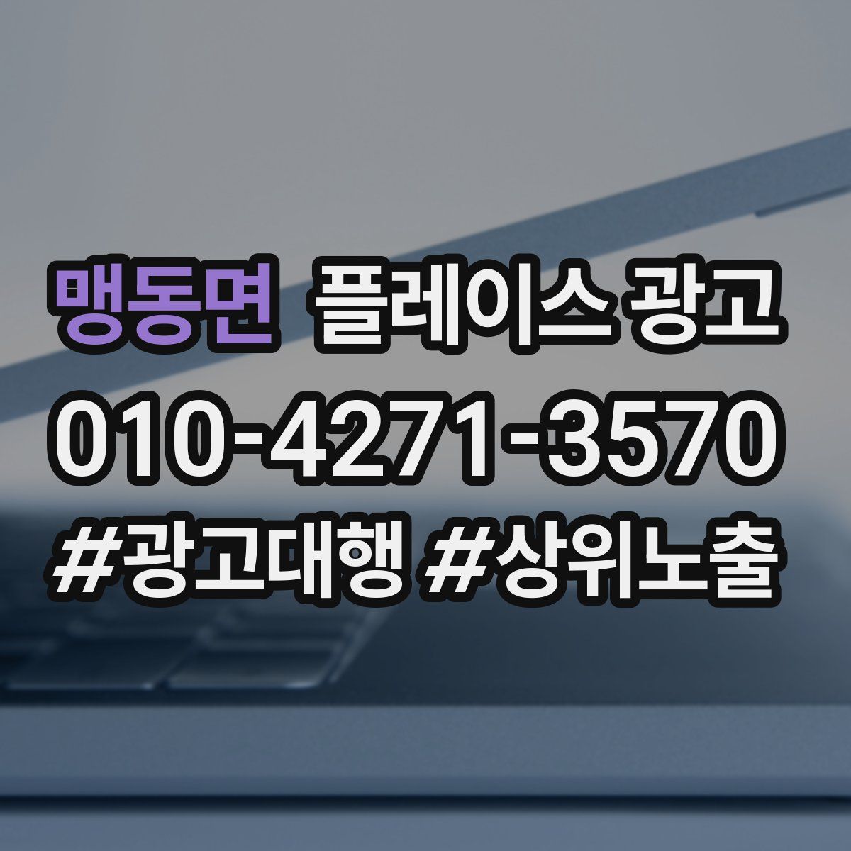 맹동면 플레이스 광고