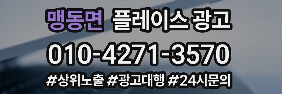 맹동면 플레이스 광고