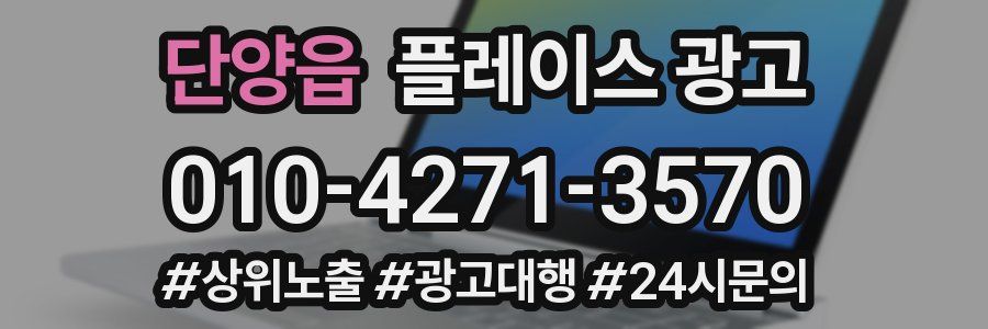 단양읍 플레이스 광고