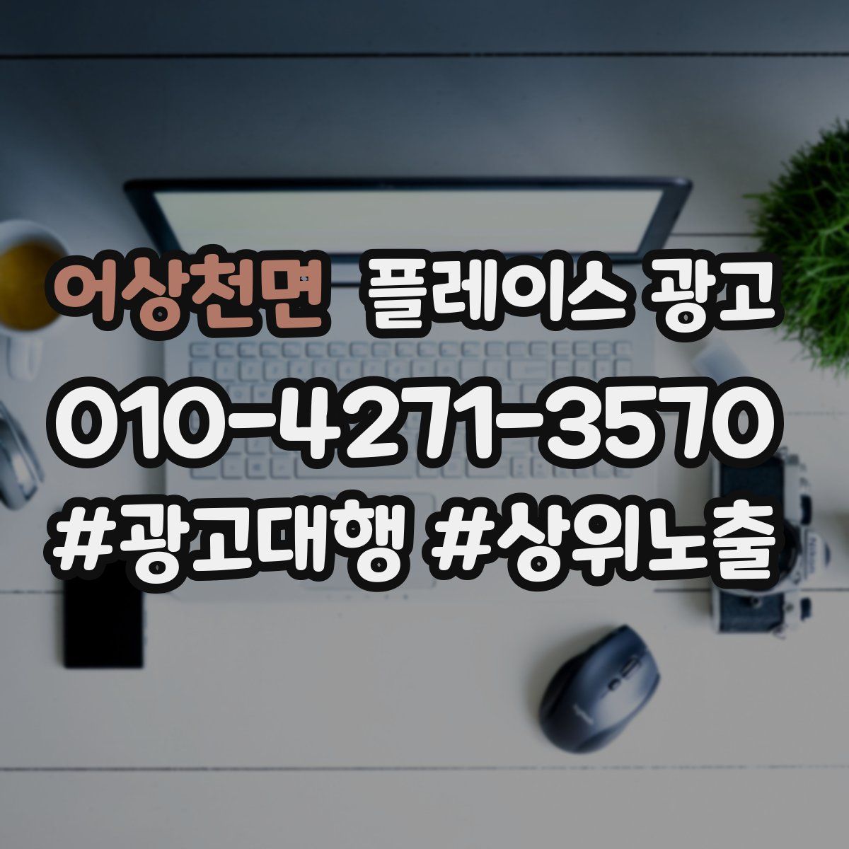 어상천면 플레이스 광고