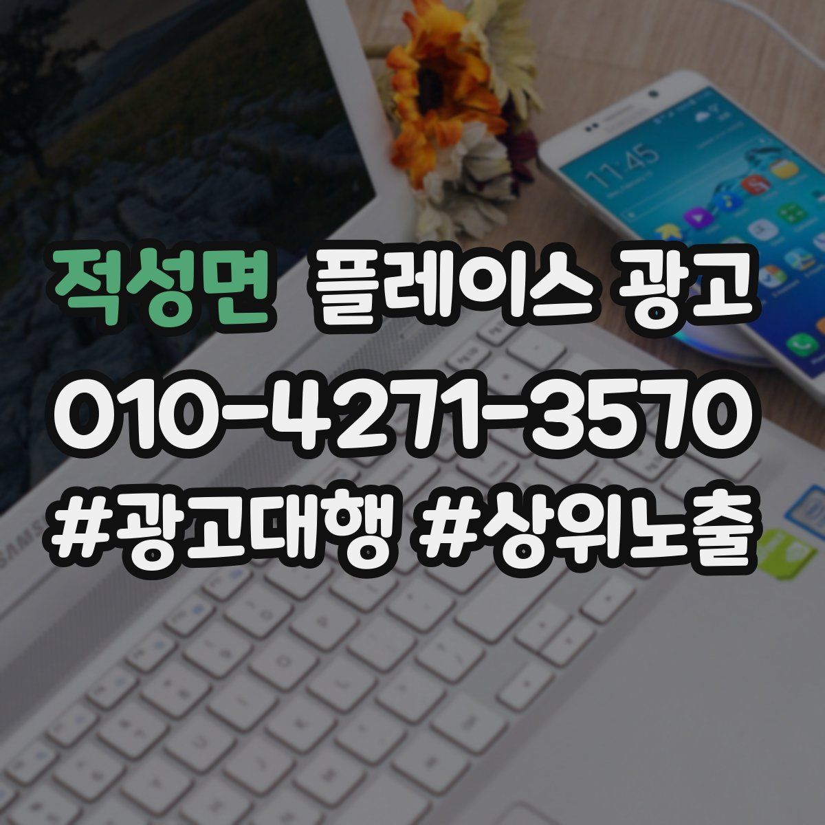 적성면 플레이스 광고