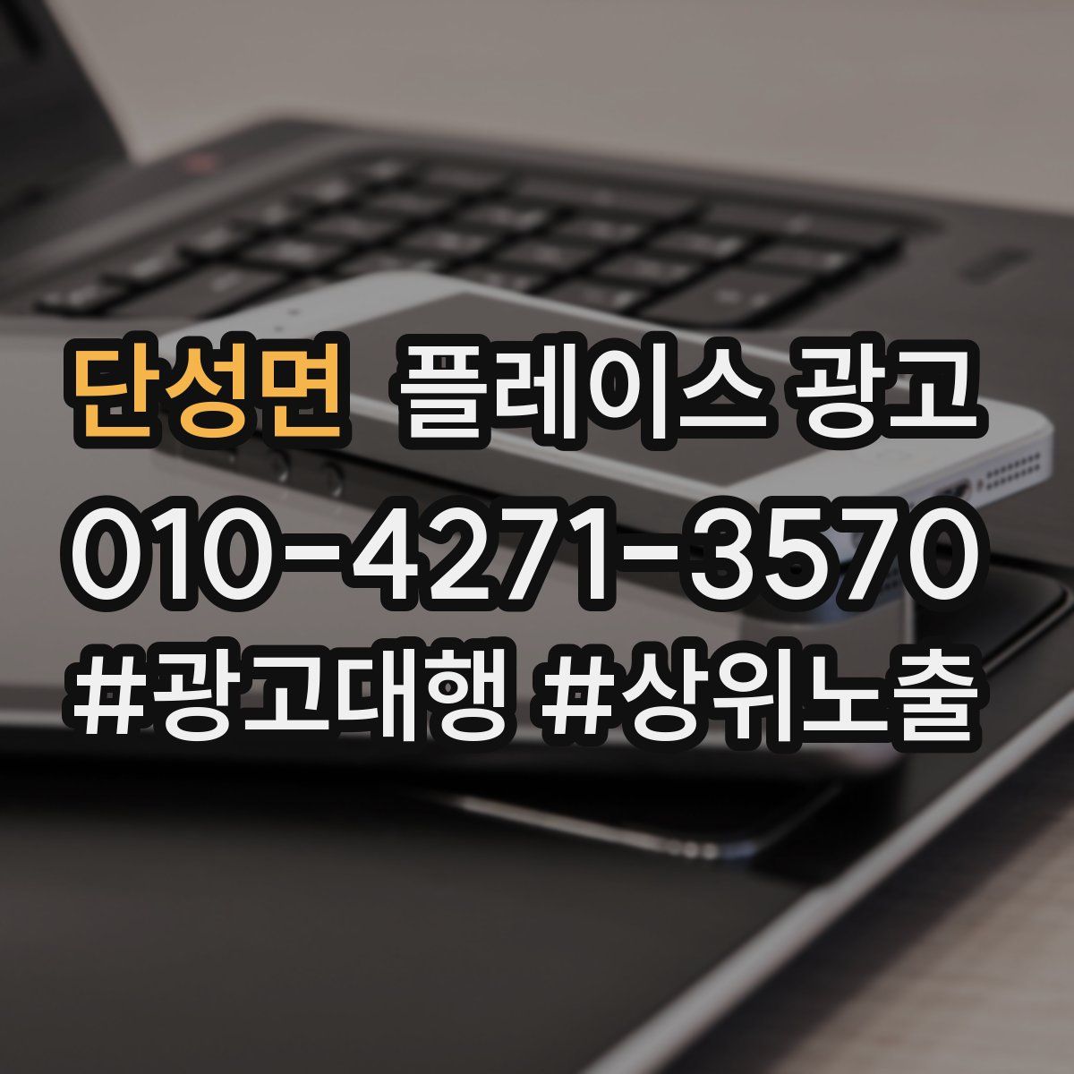 단성면 플레이스 광고