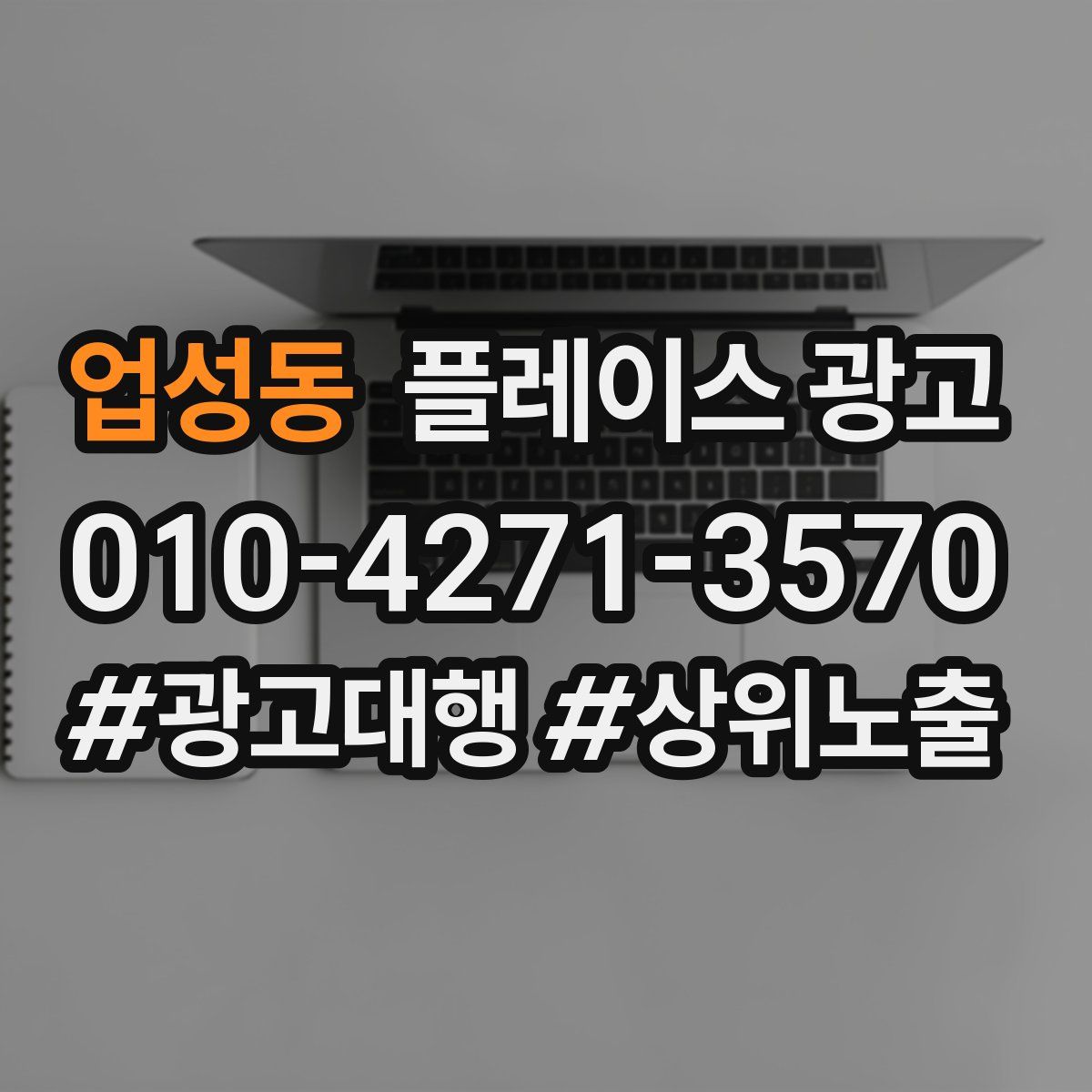 업성동 플레이스 광고