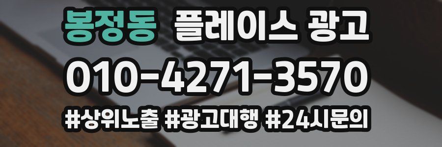 봉정동 플레이스 광고