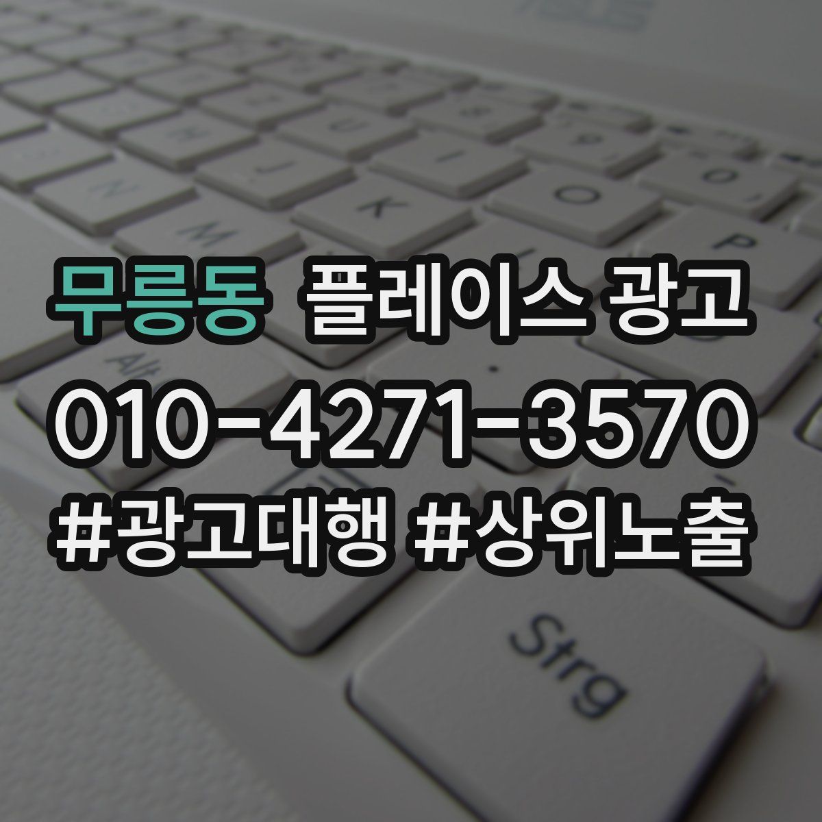 무릉동 플레이스 광고