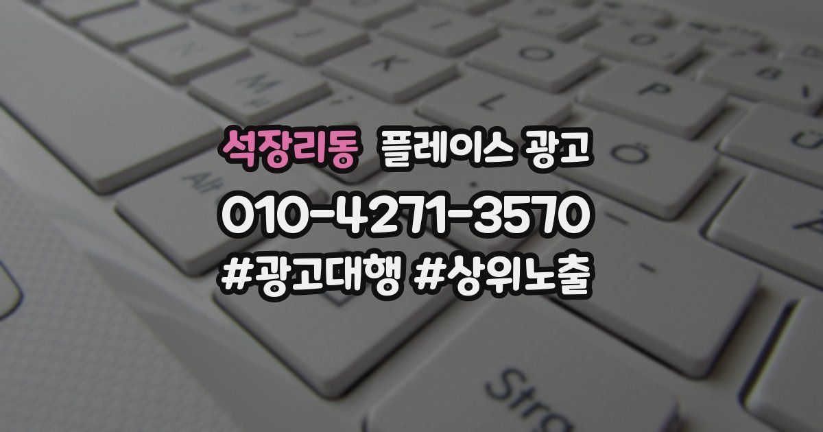 석장리동 플레이스 광고