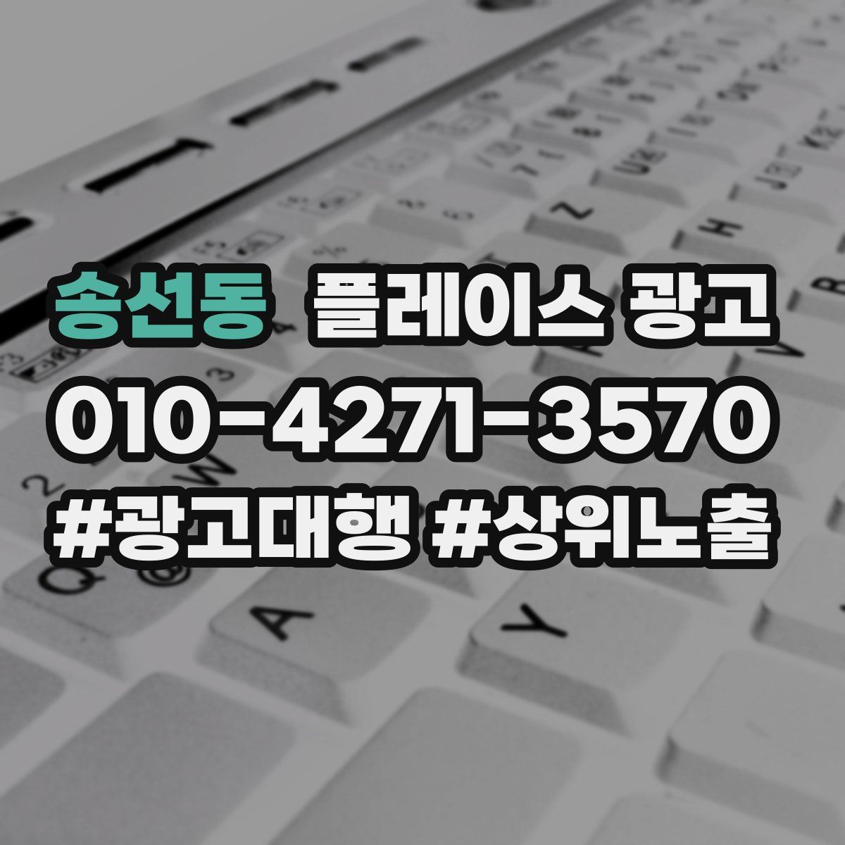 송선동 플레이스 광고