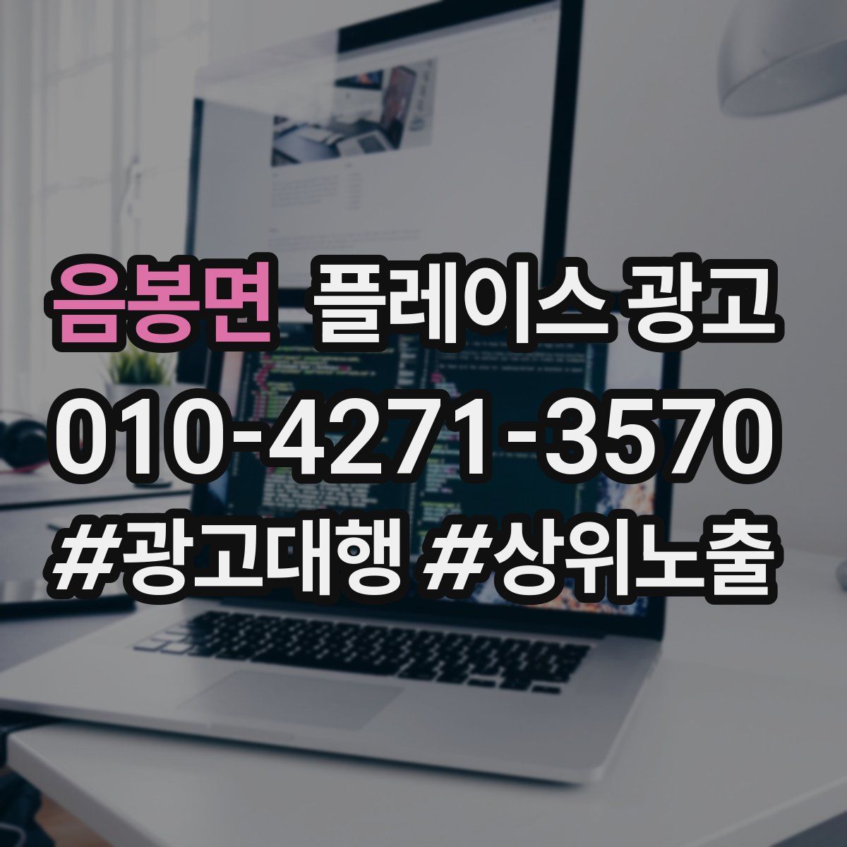 음봉면 플레이스 광고