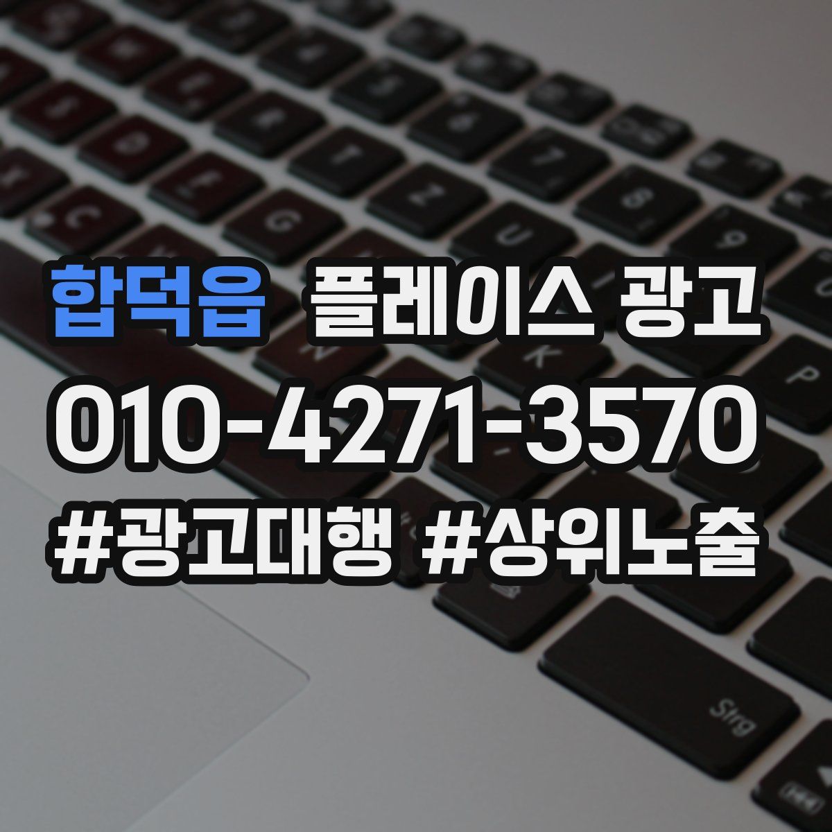 합덕읍 플레이스 광고