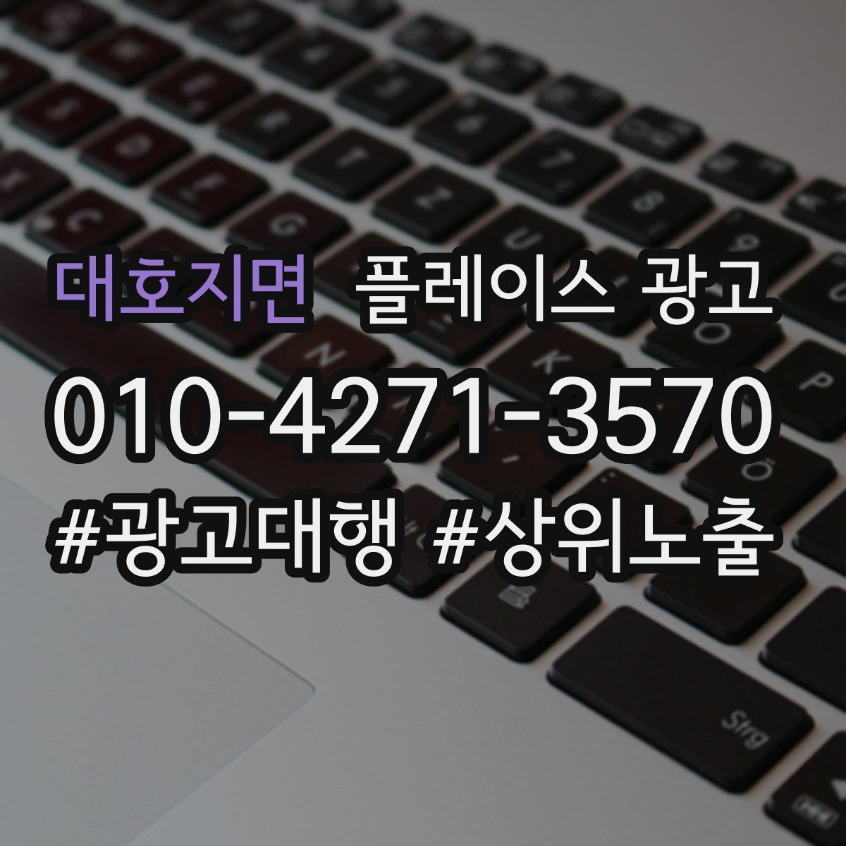대호지면 플레이스 광고
