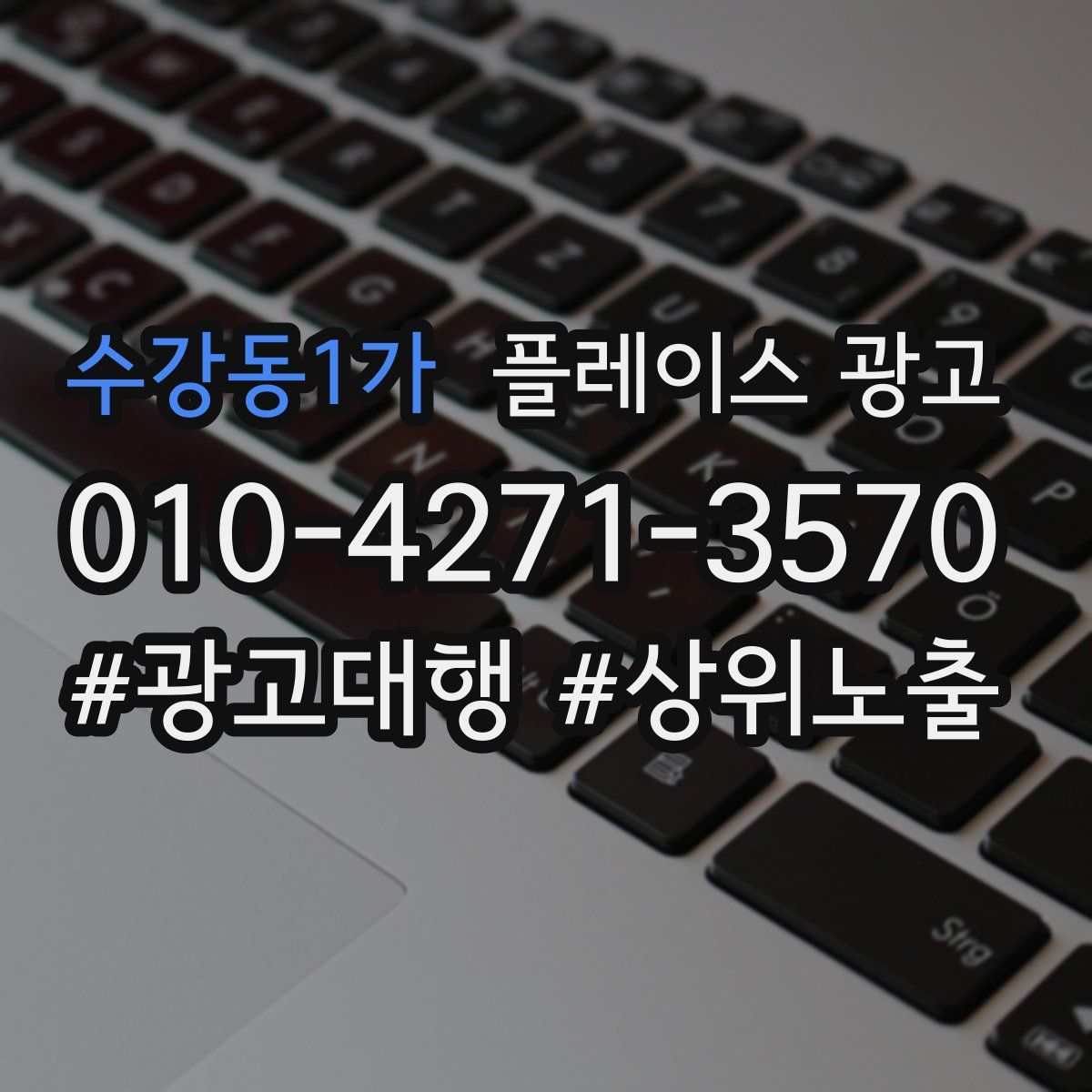 수강동1가 플레이스 광고