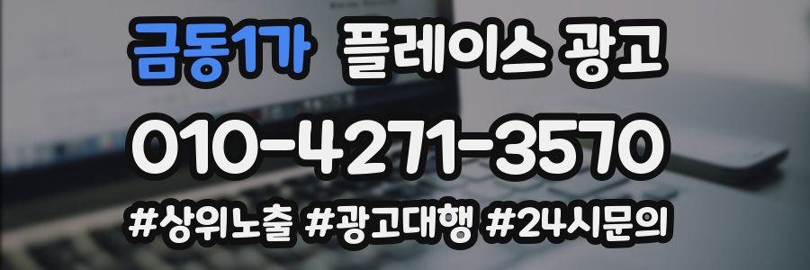 금동1가 플레이스 광고