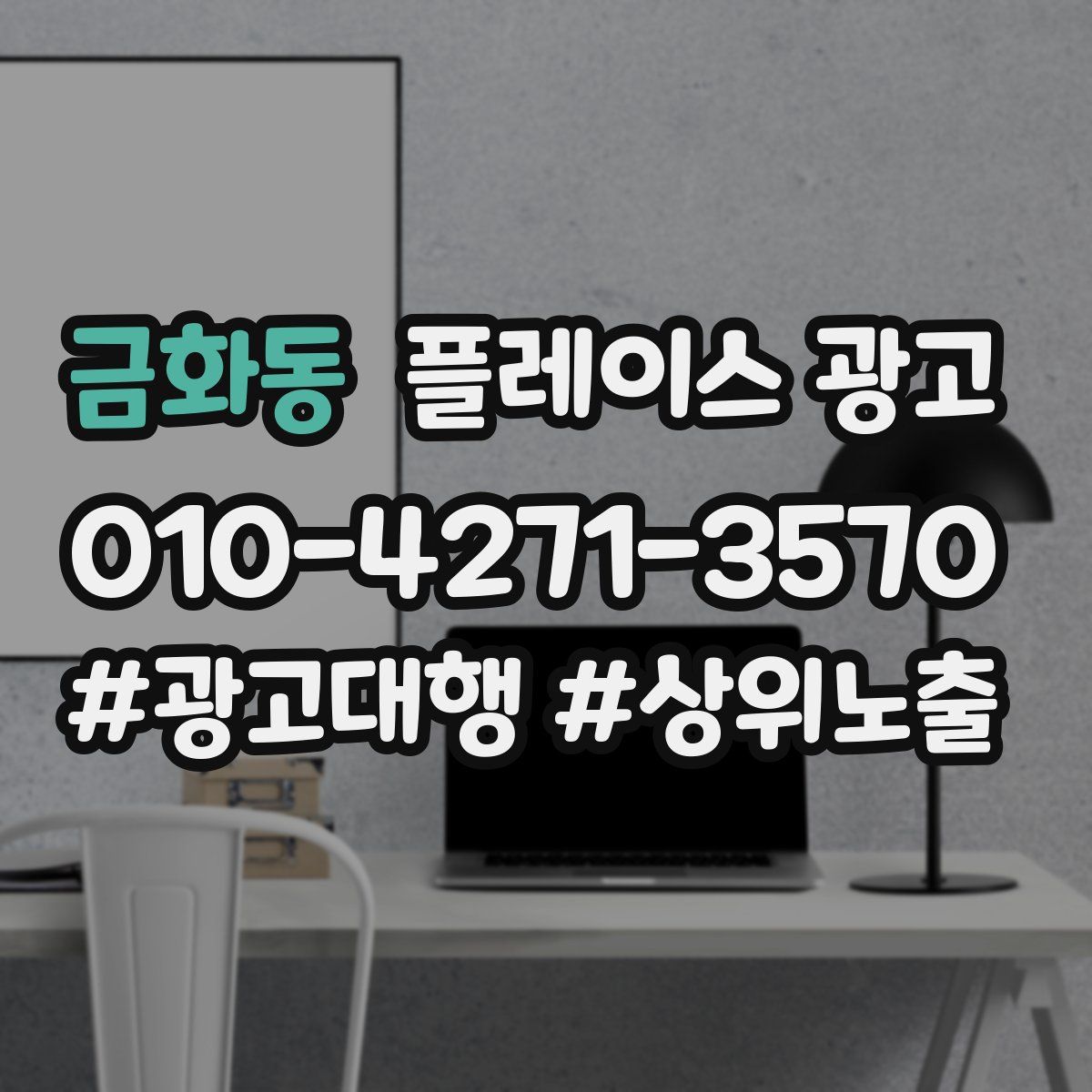 금화동 플레이스 광고