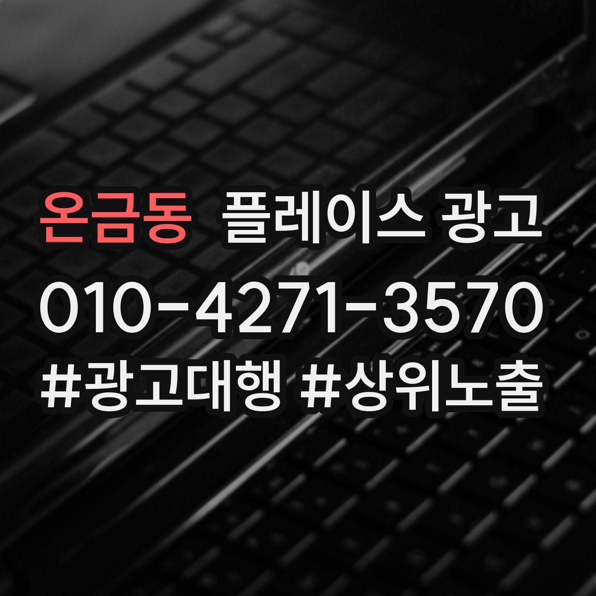 온금동 플레이스 광고