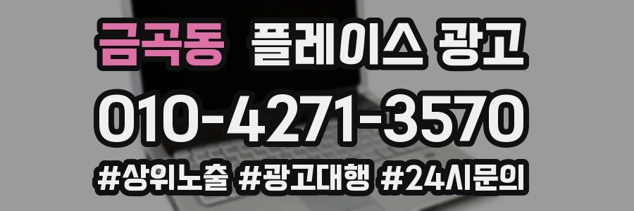 금곡동 플레이스 광고