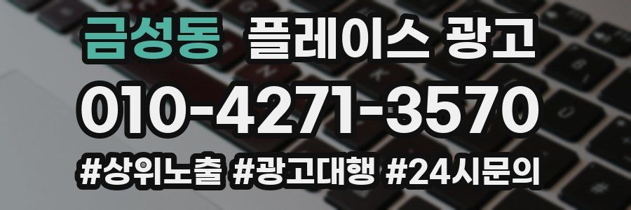 금성동 플레이스 광고
