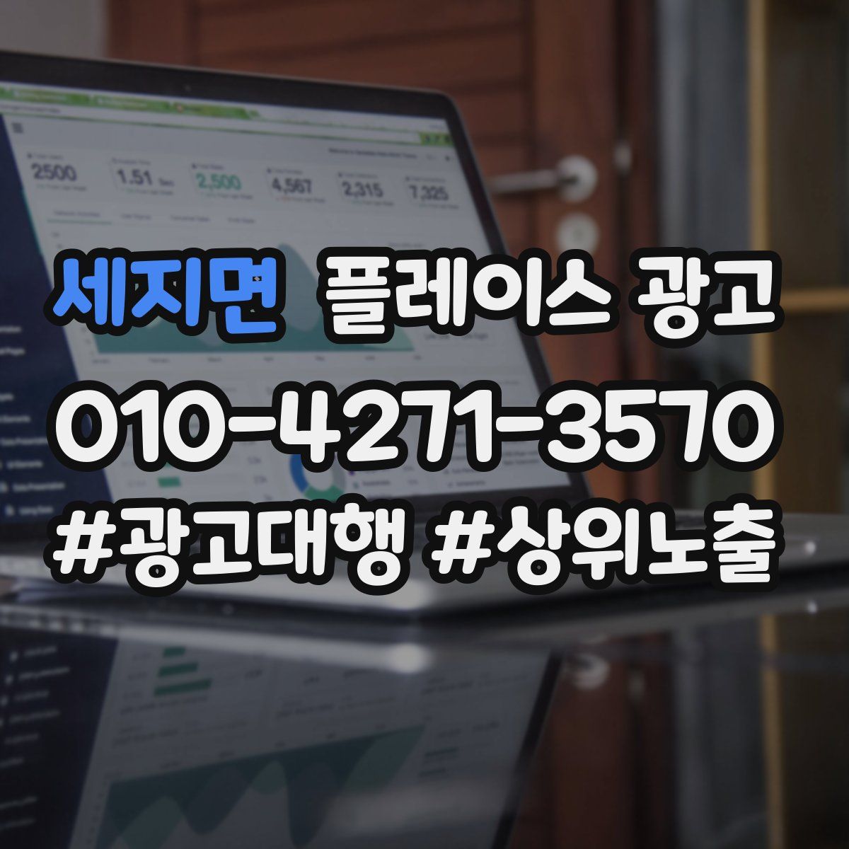 세지면 플레이스 광고