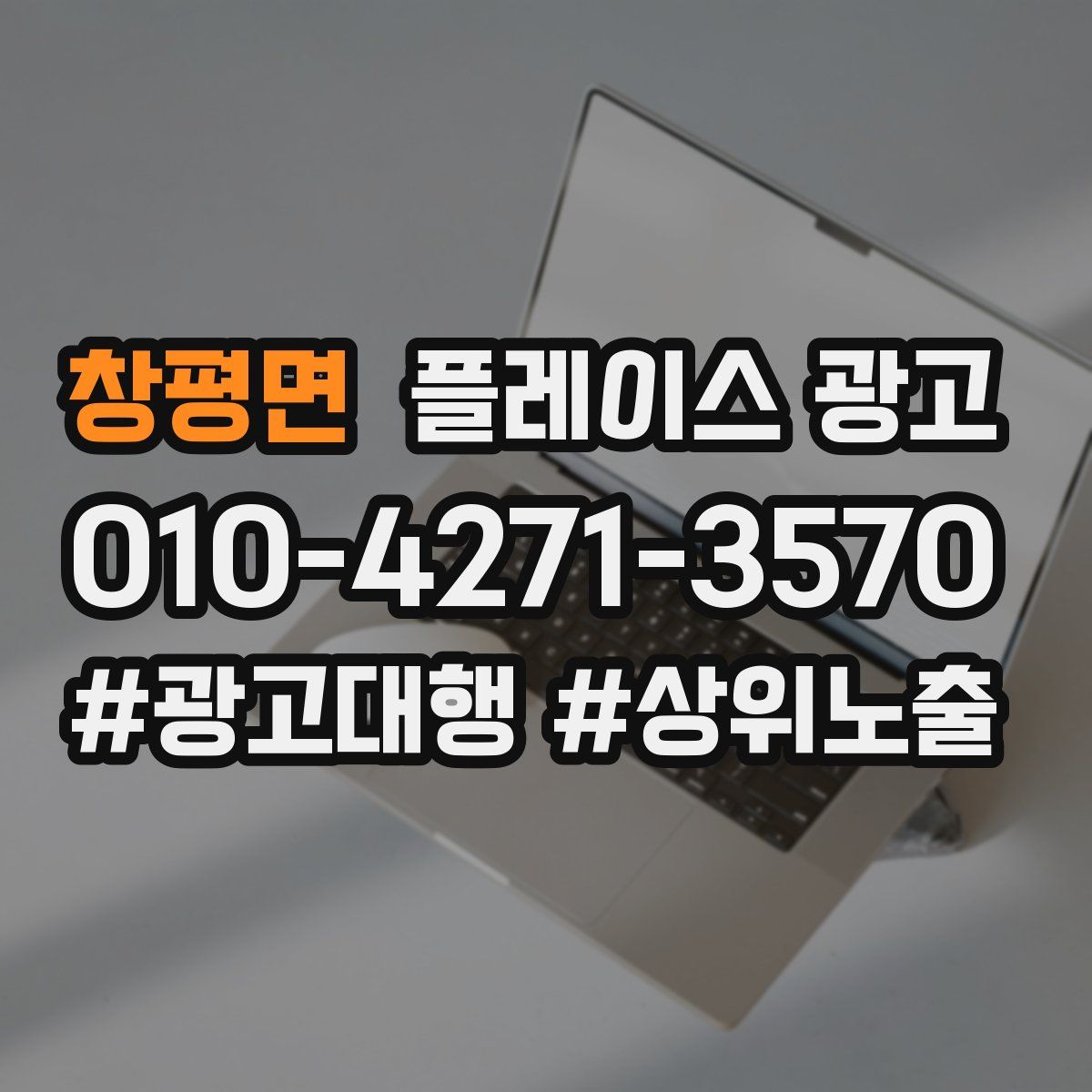 창평면 플레이스 광고