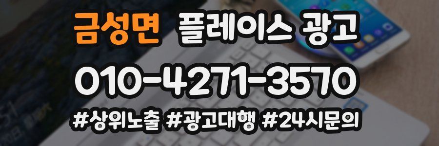 금성면 플레이스 광고