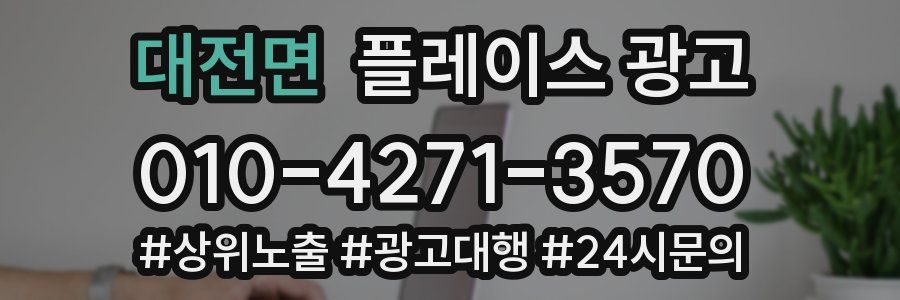 대전면 플레이스 광고