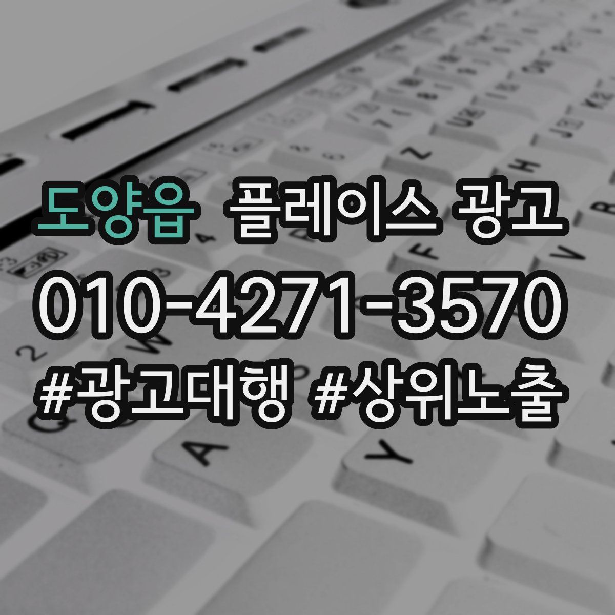 도양읍 플레이스 광고