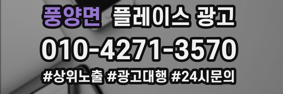 풍양면 플레이스 광고