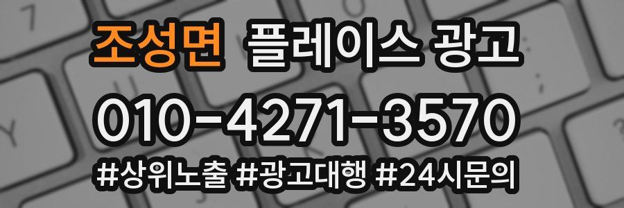 조성면 플레이스 광고