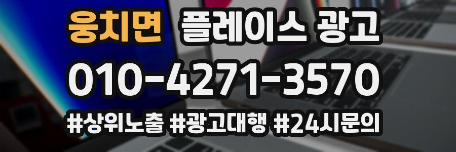 웅치면 플레이스 광고